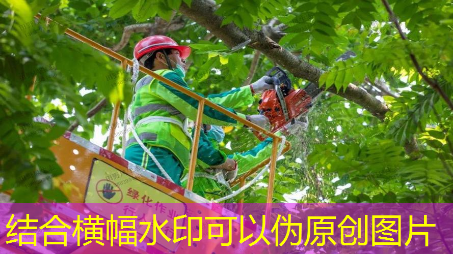 江南俱乐部，我没有一个网球拍