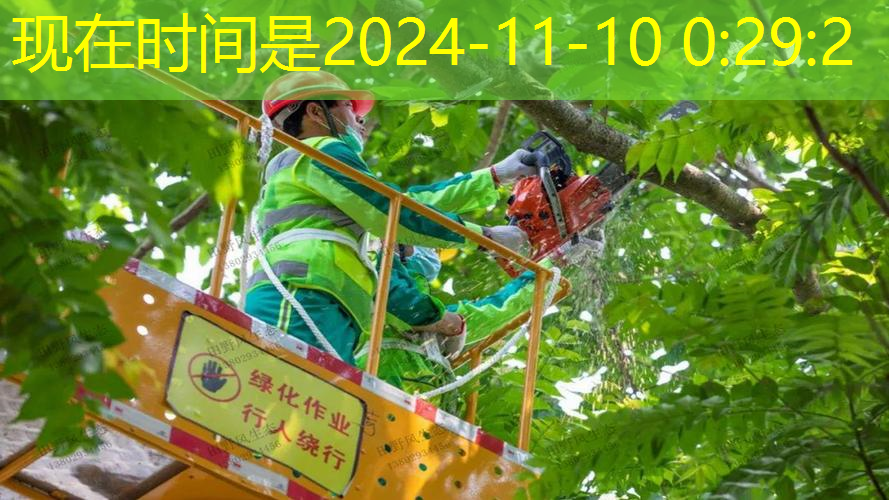 jn江南·体育登录入口，12元一副网球拍价格
