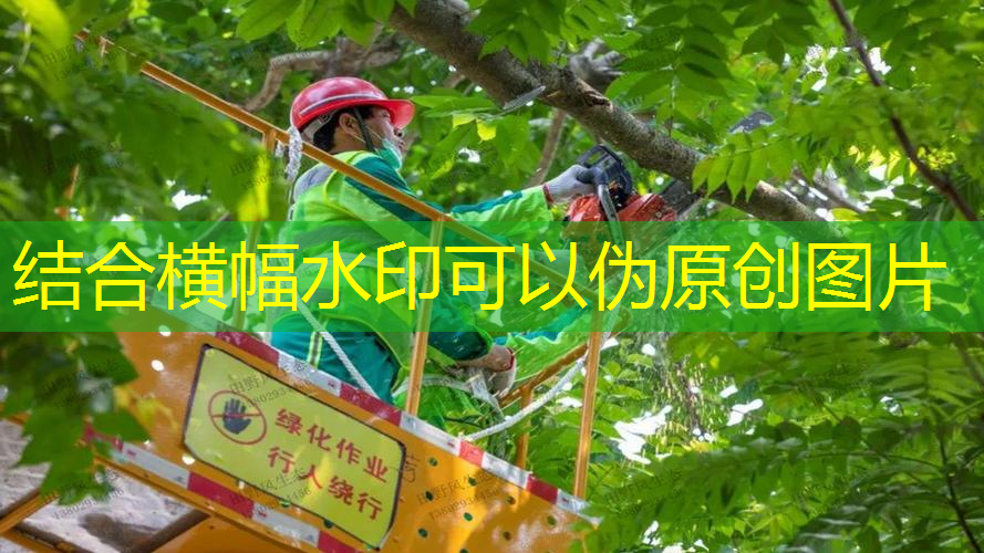 江南俱乐部，网球拍3号柄有什么区别