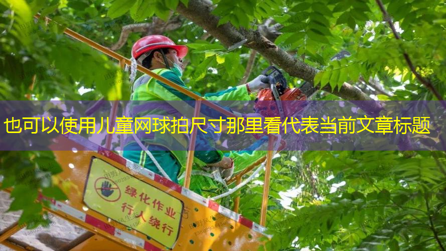 儿童网球拍尺寸那里看