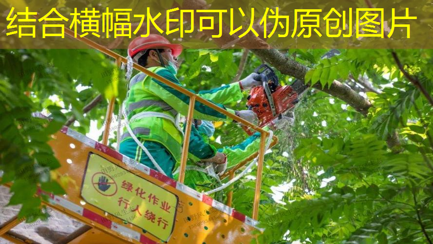 jn江南公司，德尔惠网球拍塑料材质怎么样