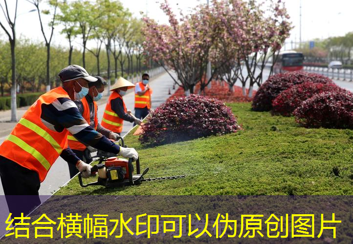四季青周边网球拍