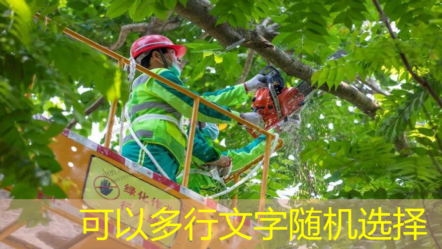 jn江南娱乐，@新初三，天津中考体育攻略请查收