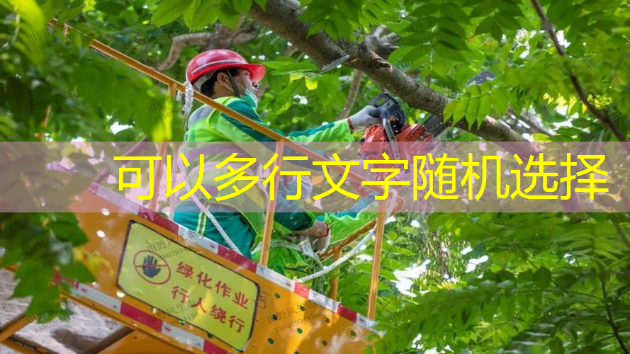 江南·体育官方网站登录，怎么增加网球拍手感速度