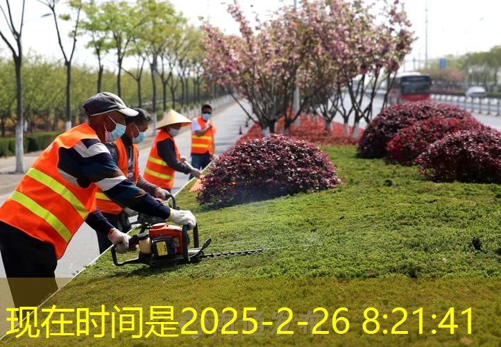 jn江南官方体育，金宇训练网球拍价格多少