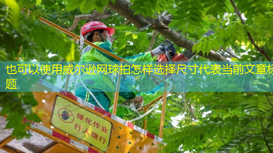 威尔逊网球拍怎样选择尺寸