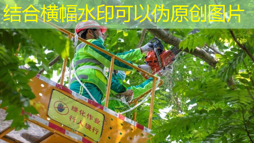 江南·体育官方网站登录，网球拍会打掉漆吗贴吧
