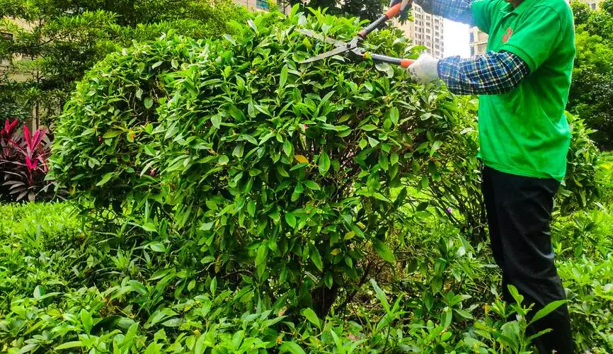 jn江南娱乐，网球拍上的胶怎么绑