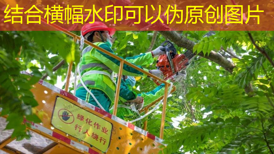 JN江南·体育，网球拍设计好看吗男孩