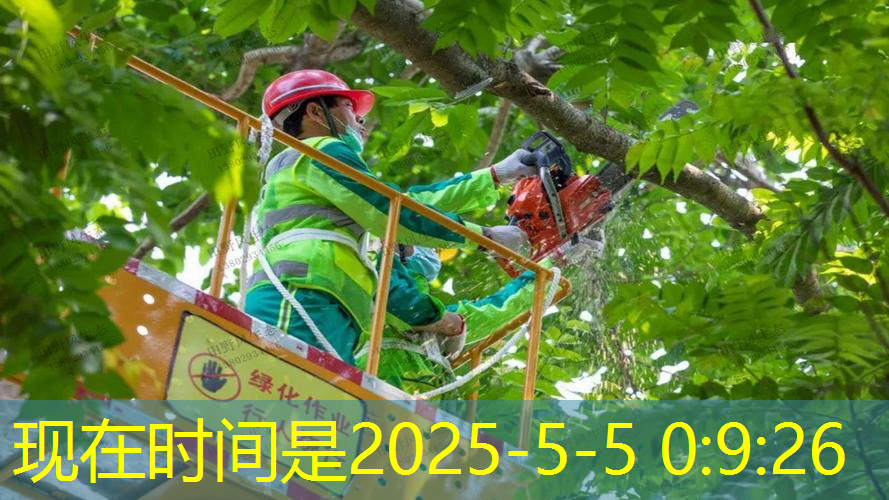 <strong>jn江南娱乐，网球拍用尼克斯天斧</strong>
