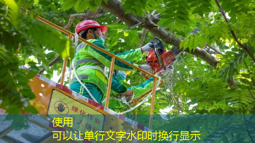 网球拍哪种线好用便宜点