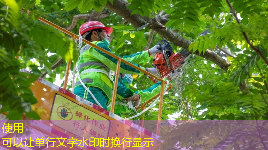 jn江南官方体育，室内高端健身器材