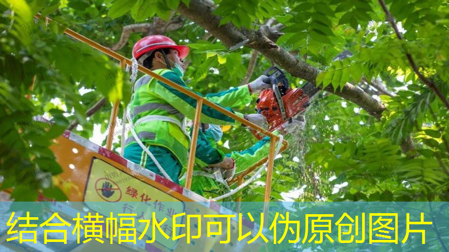 JN江南总部，职工运动会：增进员工之间的友谊，促进共享共赢！