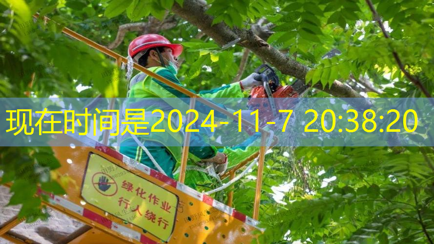我没有一个网球拍
