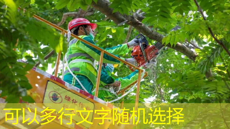 复古网球拍好打吗男孩