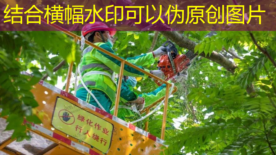12元一副网球拍价格
