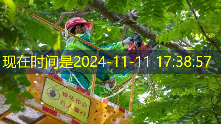 儿童网球拍尺寸那里看