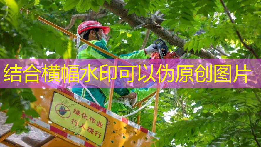 网球拍数量一览表