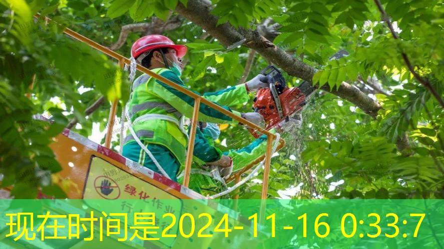 网球拍有使用寿命吗_