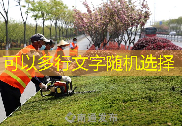 尤迪曼碳纤维网球拍