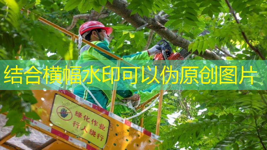 儿童网球拍拍球教程图解
