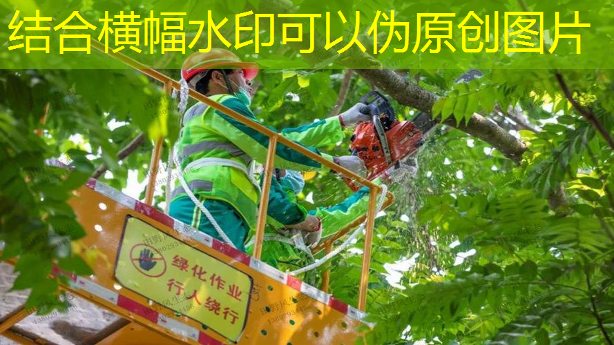 网球拍上放花怎么放好