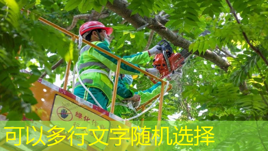 用鱼竿做网球拍怎么做