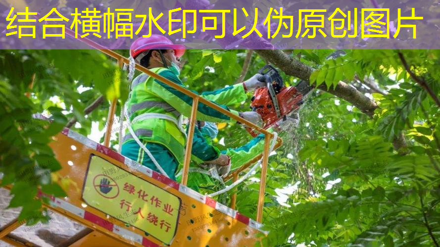 网球拍多少磅数合适好