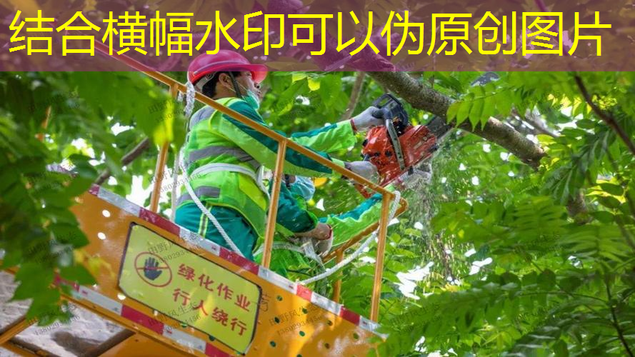 好截击的网球拍是什么材质