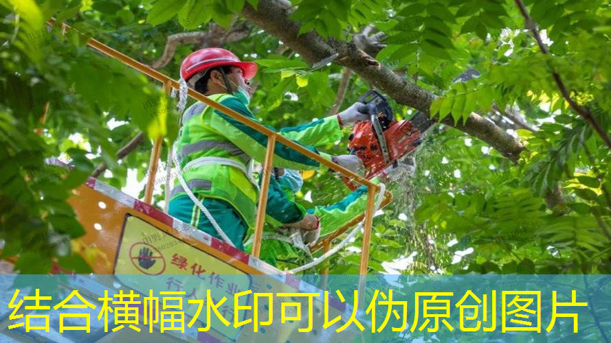 网球拍最上面的塑料