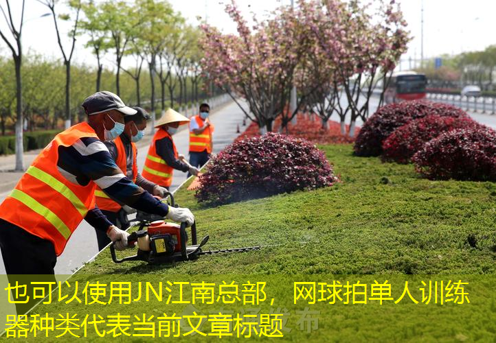 网球拍单人训练器种类