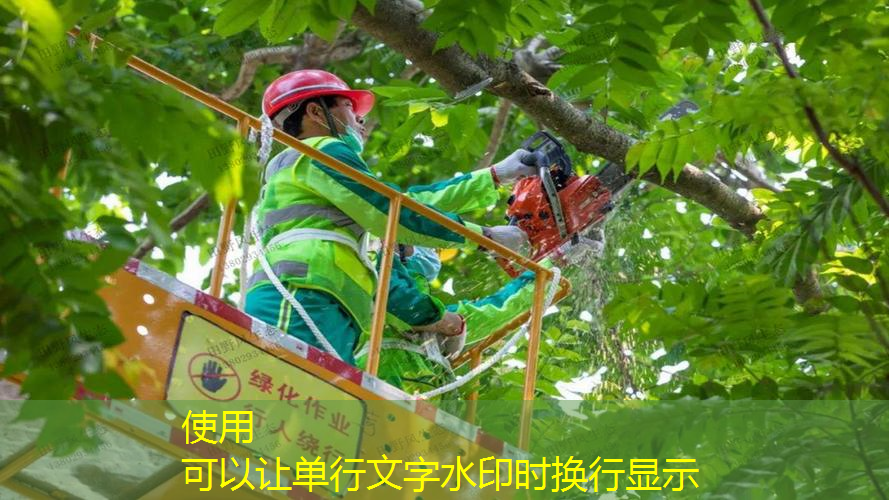 儿童网球拍25寸磅数