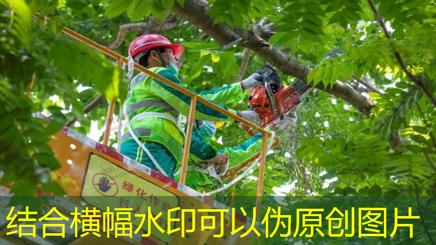 用网球拍怎么训练肌肉男