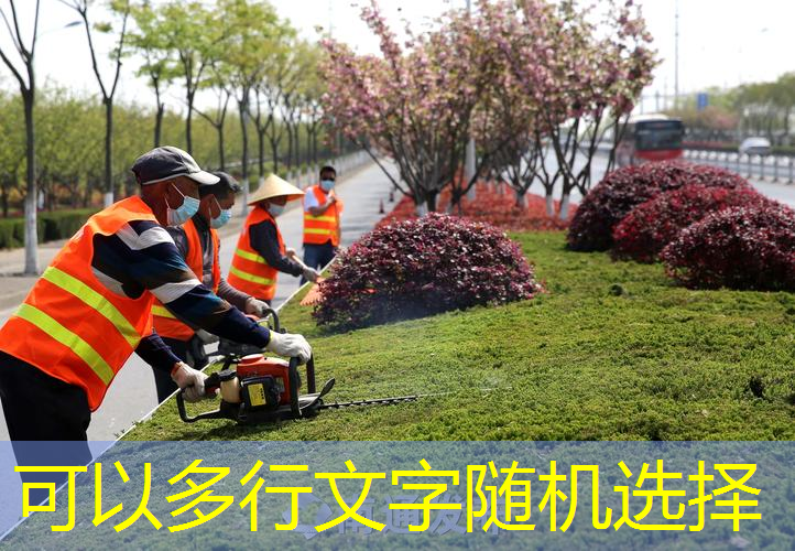 网球拍初学者钢琴自学教程
