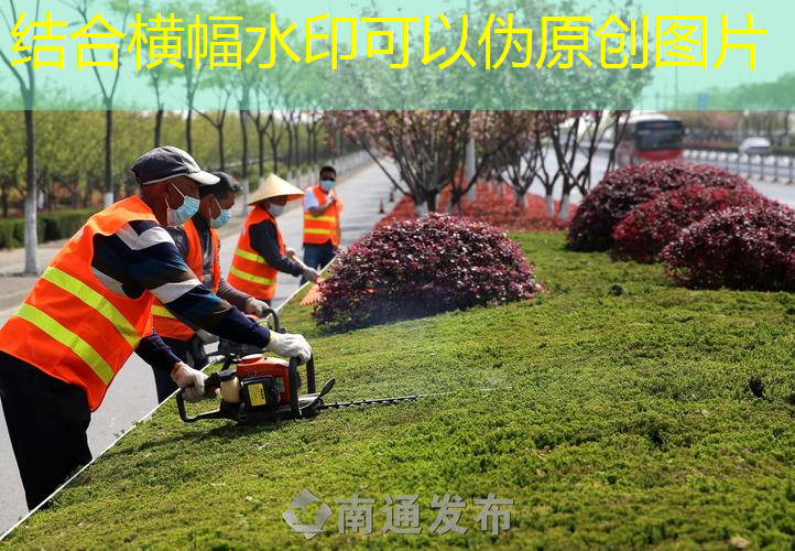 室内网球拍摆放位置图