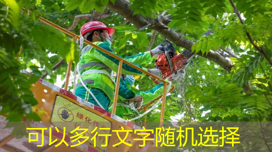 男士网球拍单人训练器