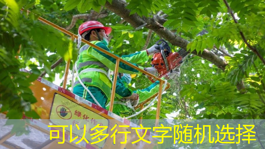 板式网球拍损耗多少克重
