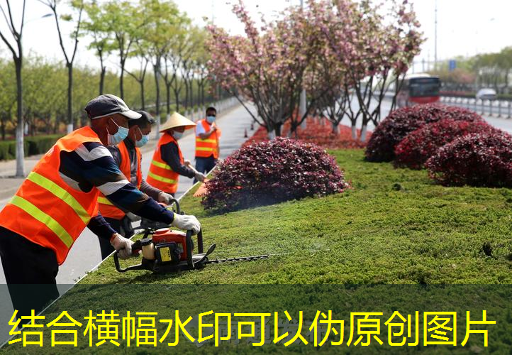 网球拍单人回弹神器怎么用