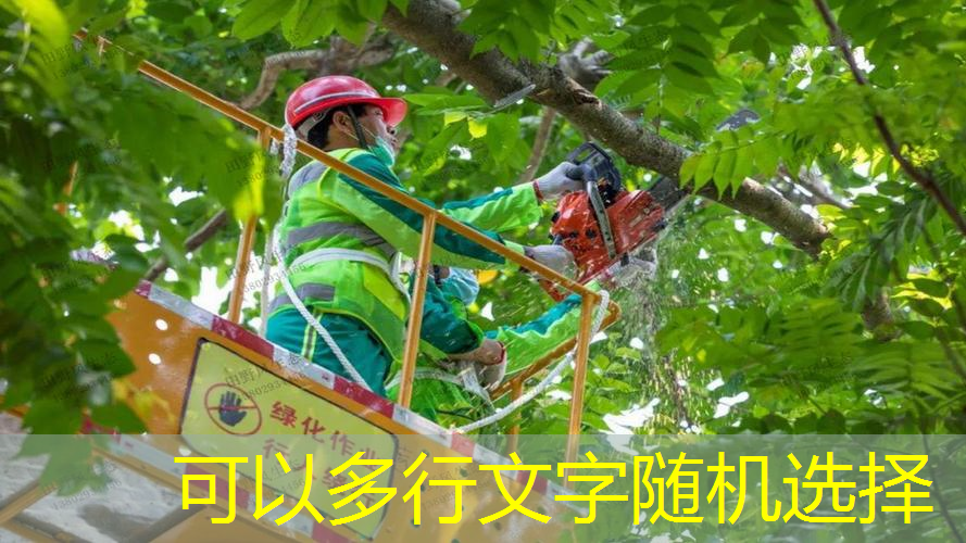 网球拍怎么包装邮寄的好