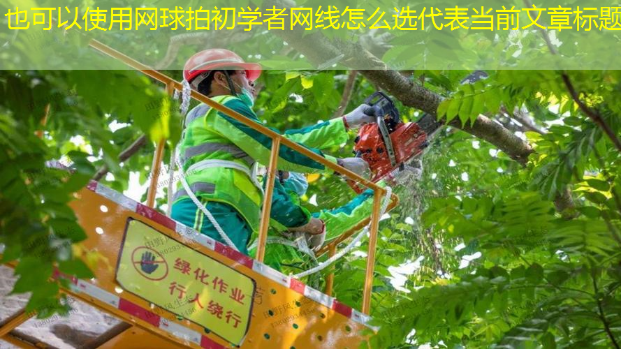 网球拍初学者网线怎么选
