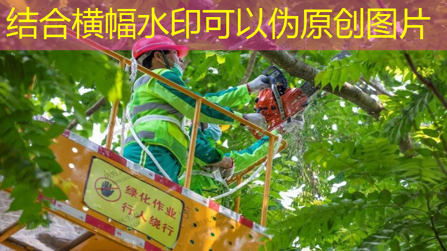 百保力新款复合碳网球拍