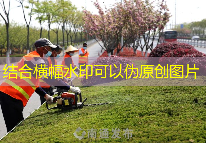金宇训练网球拍价格多少