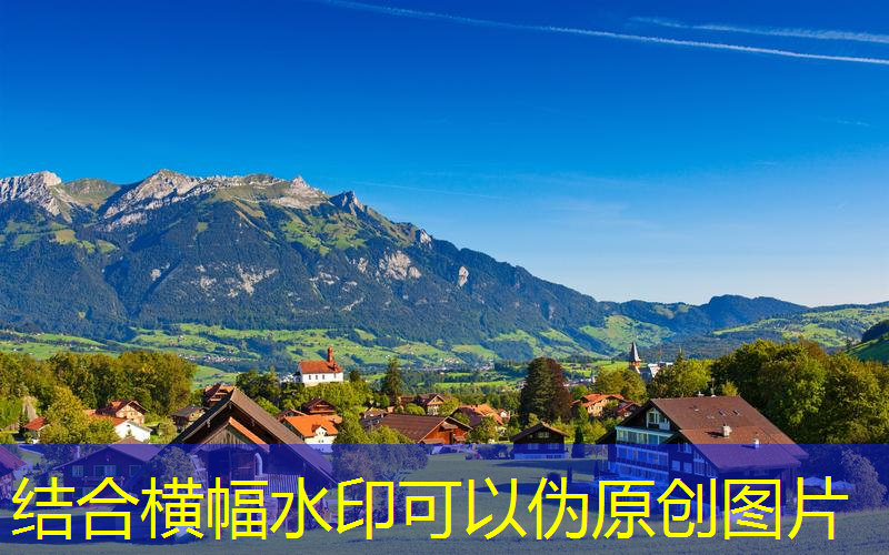 网球拍选哪一家的