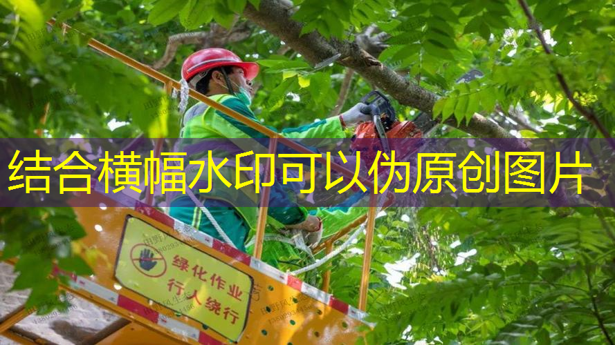 网球拍掰响了会怎么样吗_