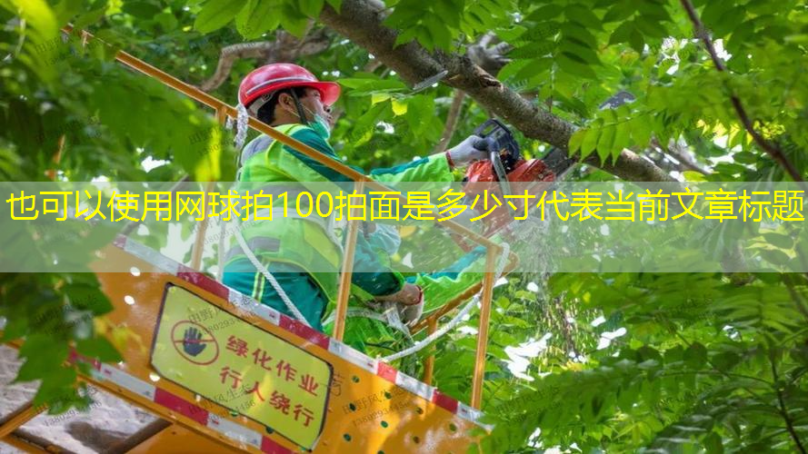 网球拍100拍面是多少寸