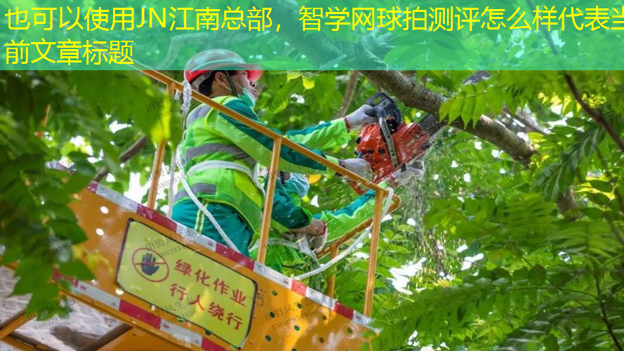 智学网球拍测评怎么样