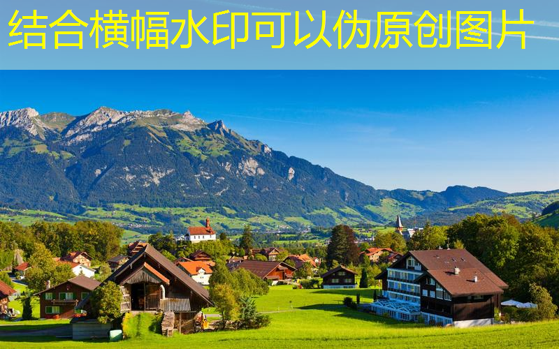 哪些算是软网球拍子的类型
