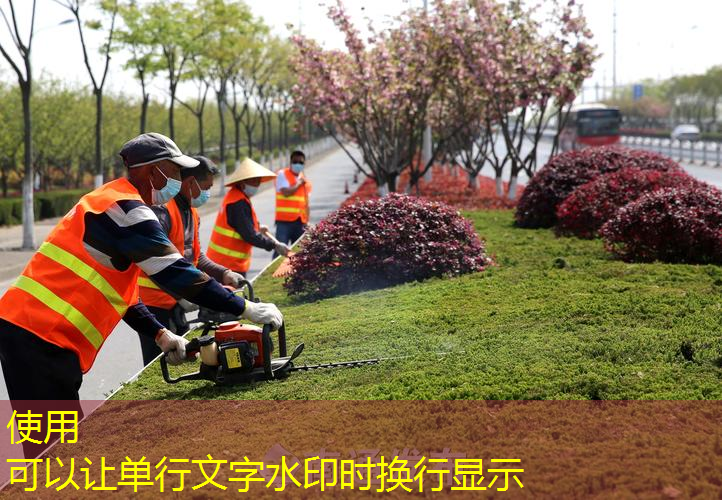 一千块左右的网球拍有哪些