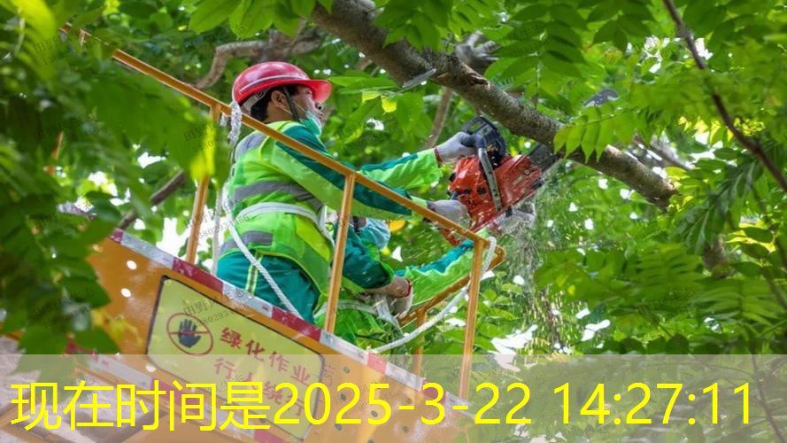 威尔逊网球拍怎样选择尺寸