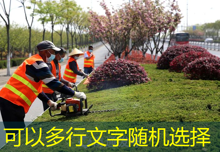 30-40美金的网球拍